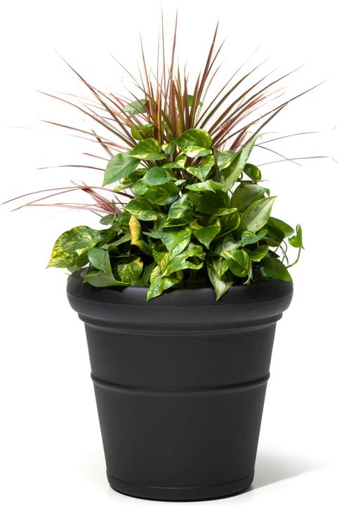 Image du produit Step2 Bridgeview Grand bac à plantes - Noir Onyx (42.80 cm)
