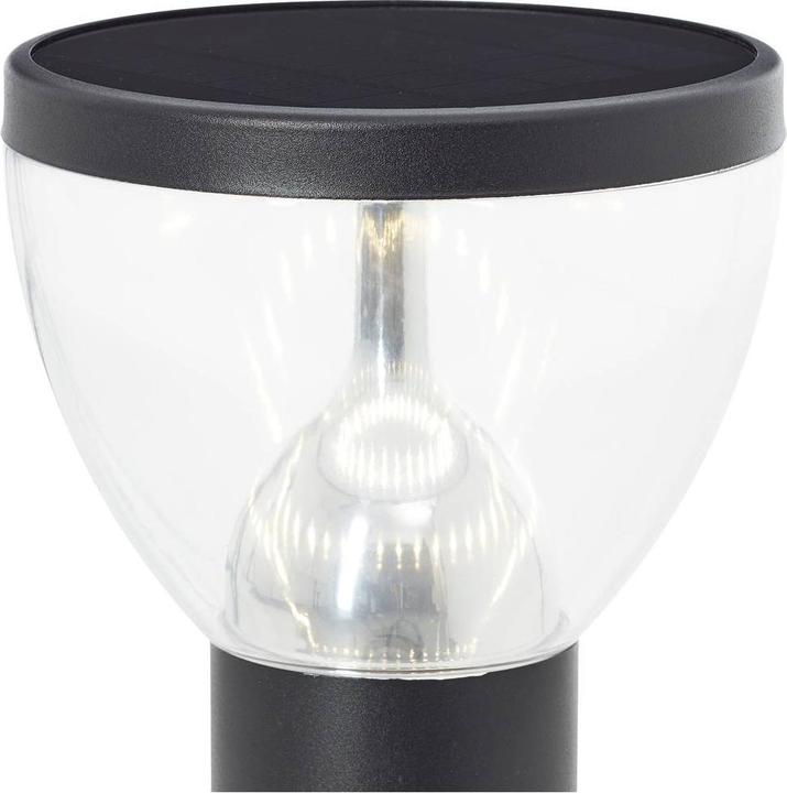 Immagine prodotto Brilliant G40411/06 Lampada solare a stelo per esterni Tulipano, luce per sentieri 3 W bianco caldo Sc (430 lm, IP44)