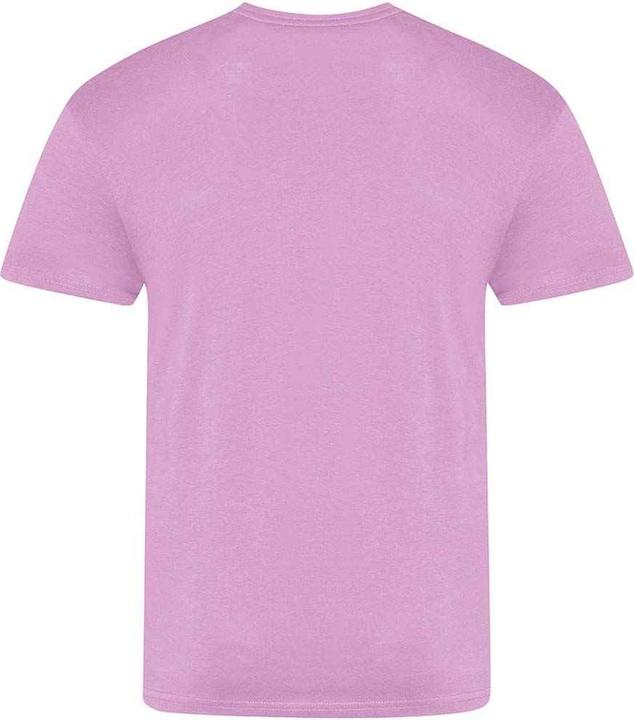 Image du produit Awdis The 100 Tshirt (S)