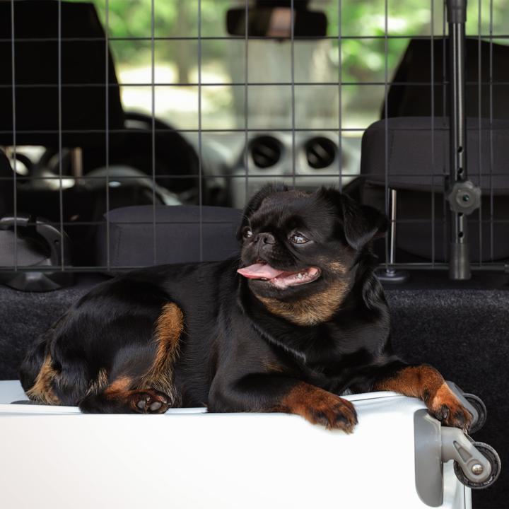 Produktbild Relaxdays Hundegitter (Hund, Reflektoren)