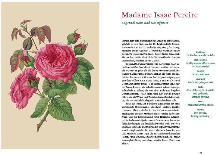 Immagine prodotto Historische Rosen (Tedesco, Sofia Cieco, Biblioteca di Stato di Berlino, 2023)