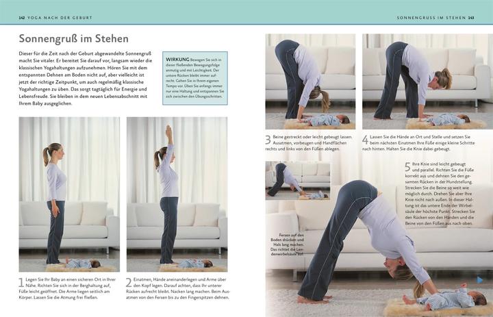 Image du produit Yoga in der Schwangerschaft (Allemand, Fran¢oise Barbira Barbira Freedman, 2015)