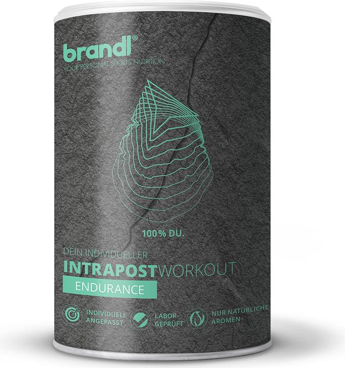 Brandl-Nutrition Endurance Vegan (Zitrone, 1 Stk., 600 g)