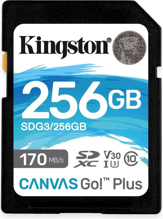 Kingston Tela Vai! Inoltre (256 GB, SDXC, U3, UHS-I)