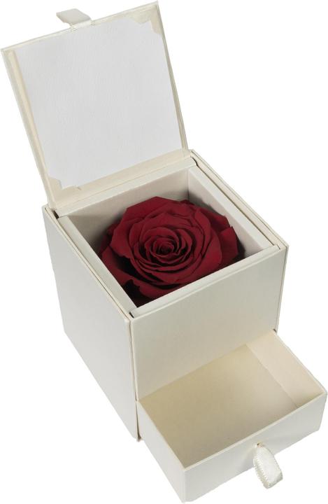 Produktbild Migros Ostschweiz Premium Rose (Stabilisierte Rose) in Box mit Schublade (Infinity Blumen)