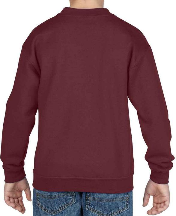 Image du produit Gildan - Sweat - Enfant (128)