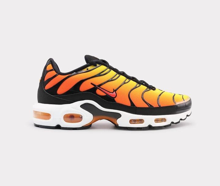 Produktbild Nike Air Max Plus (43)