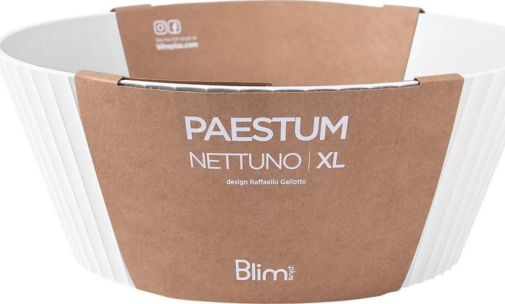 Actual product image Blim Plus Dessert bowl (30 cm, 1 x)