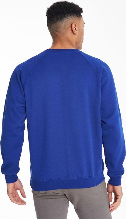 Produktbild Maddins Sweatshirt Pullover Mit Rundhalsausschnitt Coloursure (92, 94, 96, 95 A)