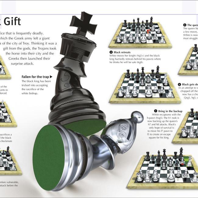 Actual product image How to Play Chess