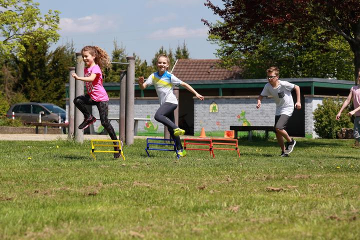 Actual product image Betzold Hurdle set (1780 g)