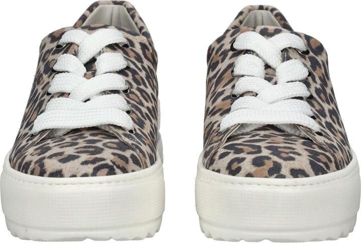 Image du produit Gabor Sneaker (39)