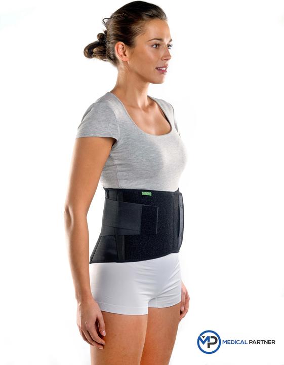 Image du produit BraceID Contoured Back Support (S)