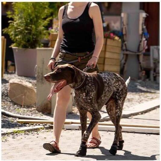 Produktbild Non-Stop Dogwear Protector Booties (XL, Hundeschuhe)