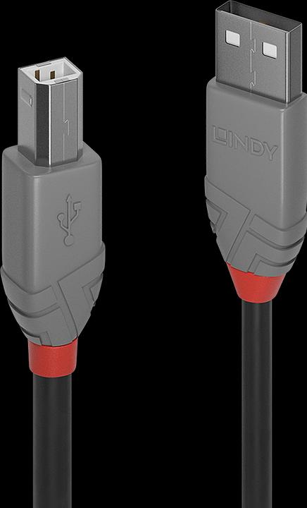 Immagine prodotto Lindy USB/A-USB/B M-M (0.50 m, USB 2.0)