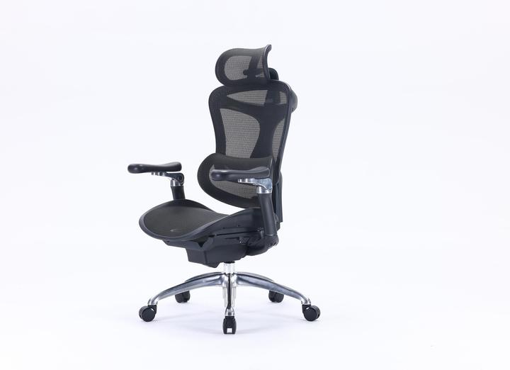 Actual product image Sihoo Doro C300