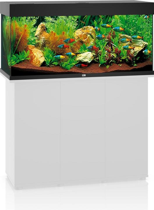 Produktbild Juwel Aquarium Rio (180 l)