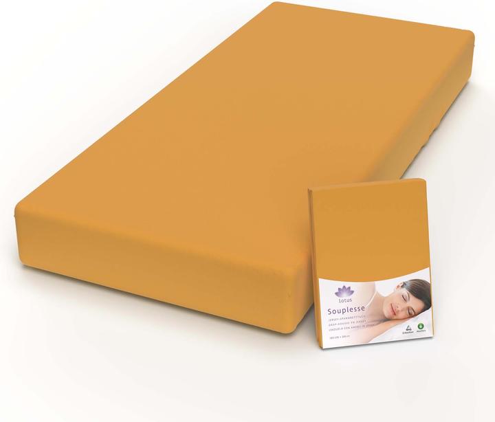 Actual product image Lotus Bettwaren Jersey fitted sheet Souplesse (160 x 200 cm, 140 x 200 cm)
