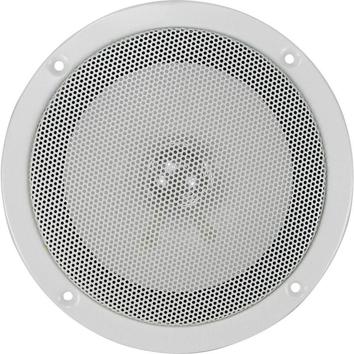 Actual product image Renkforce SPE-150 Built-in Loudspeaker (1 pcs.)