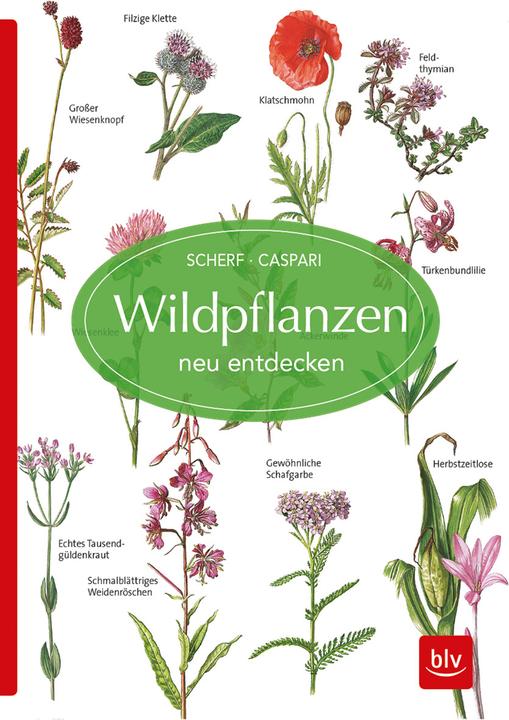 Libro specialistico