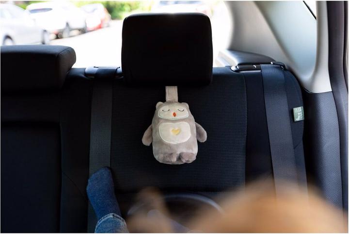 Immagine prodotto Tommee Tippee Mini Grofriend Sleep e aiuto per il sonno