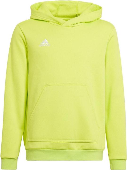 Image du produit adidas Sweat à Capuche Entrada 22 (128)