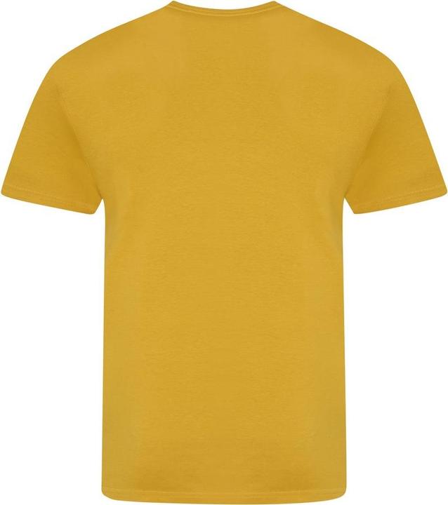 Image du produit Awdis The 100 Tshirt (M)
