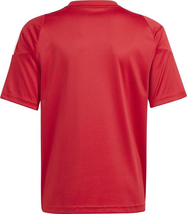 Immagine prodotto adidas TIRO24 JSY Y (116)
