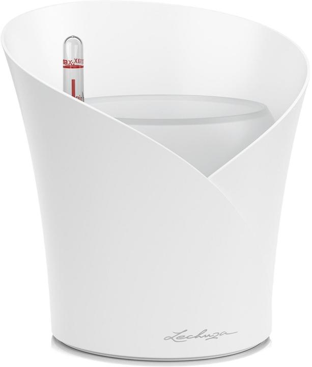 Actual product image Lechuza Orchidea (17.90 cm)