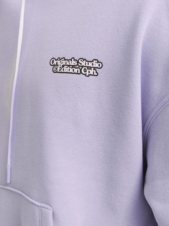 Produktbild Jack & Jones Gedruckt Kapuzenpullover Kapuzenpullover (XL)