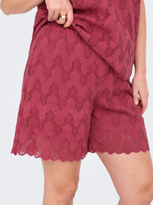 Actual product image Only CARCLEANOR Normal geschnitten Shorts Shorts (42)