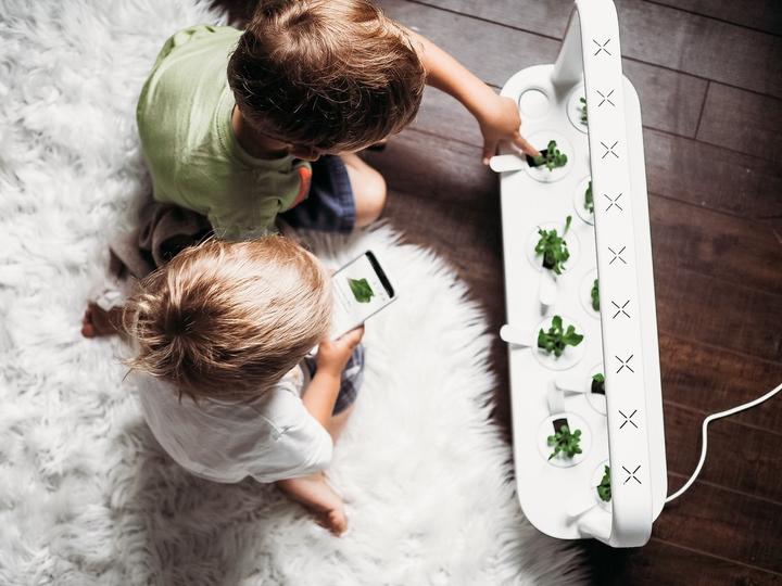 Image du produit Click and Grow Smart Garden 9 (62.50 cm)