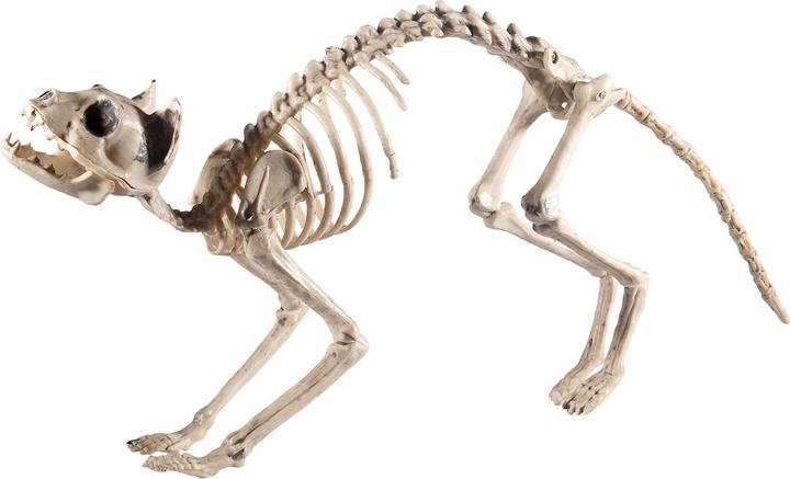 Immagine prodotto Smiffys Scheletro di gatto