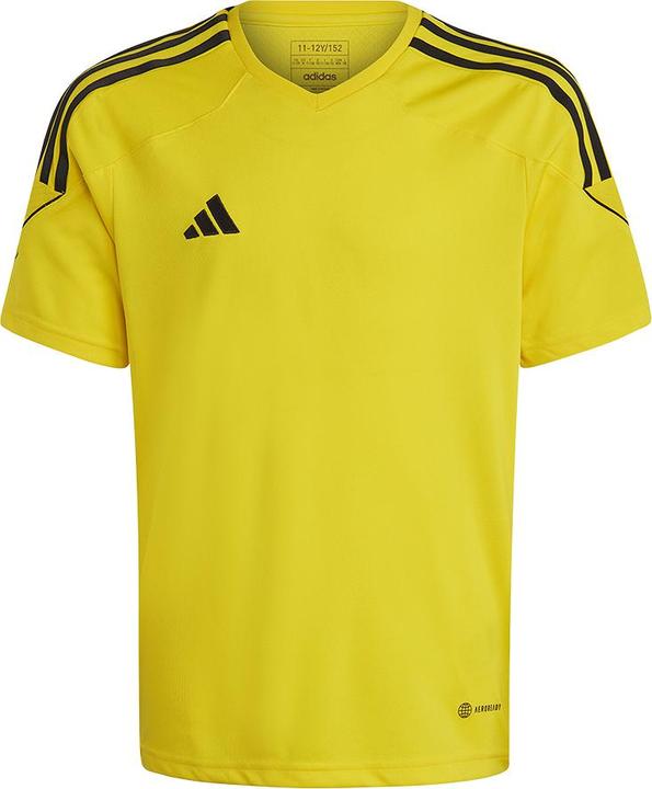 Gelb / Schwarz