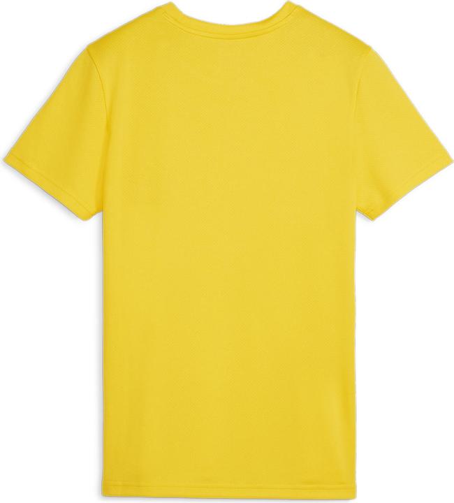 Image du produit Puma teamGOAL Jersey Wmn (S)