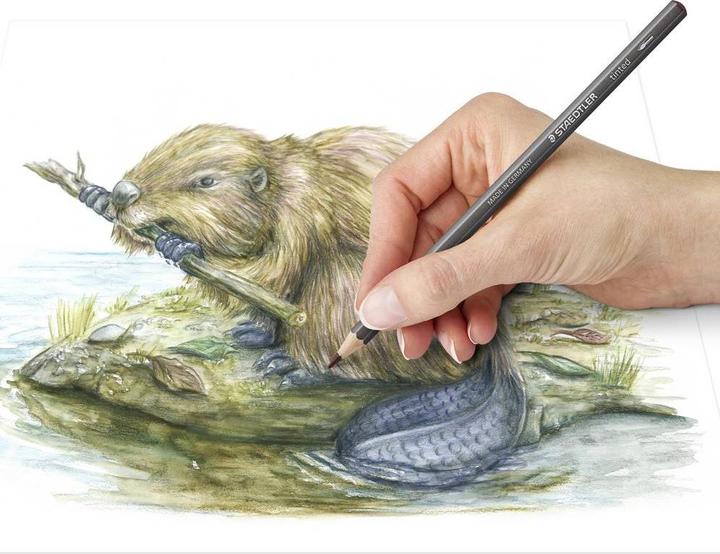 Produktbild Staedtler tinted 146 10T Abgetönter wasservermalbarer Farbstift, Kartonetui, 12 Stück, sortiert (12 Farben, 12 x)