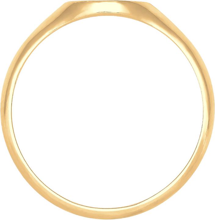 Image du produit Elli Siegelring Matt Optik (58, Argent 925)