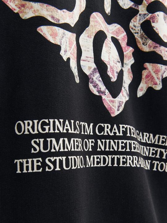 Produktbild Jack & Jones Jornoto Graphic Sweat Hood (S)