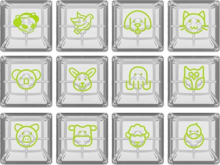 Image du produit Akko ASA Clear Printed Keycap