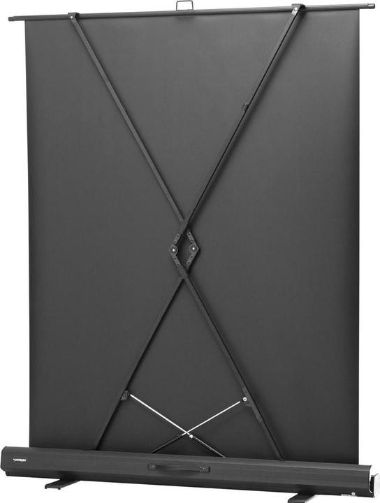 Actual product image Celexon Ultramobil Plus Professional (78.74", 4:3)