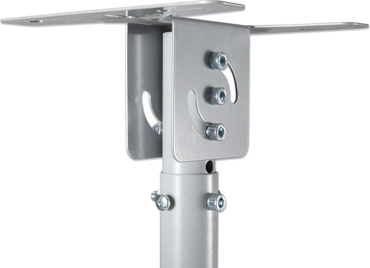 Actual product image Manhattan 424851 (Ceiling)