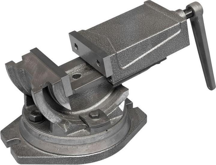 Actual product image Holzmann industrie machine vice incl. turntable (100 mm)