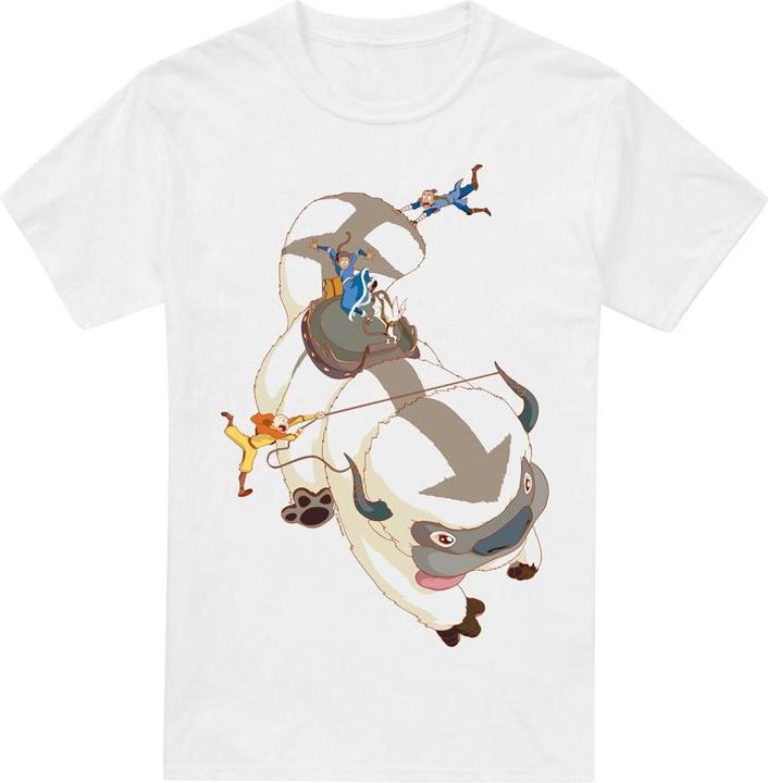 Image du produit Avatar: The Last Airbender - T-shirt HANG ON - Homme (3XL)
