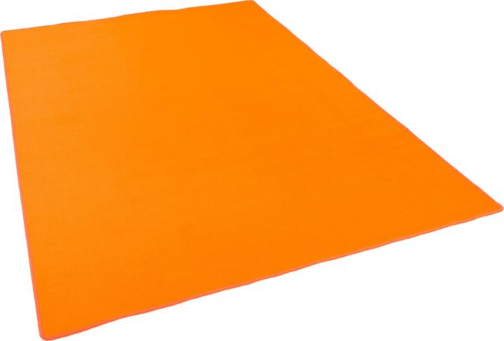 Snapstyle Basic Velours Teppich Carla