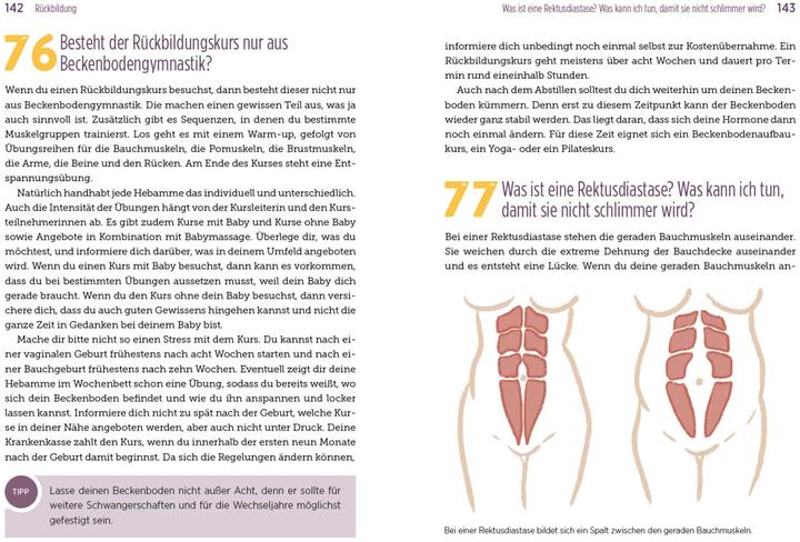 Actual product image 100 Fragen an deine Hebamme (German, Julia Brömsen, Jasmin Czech, 2023)