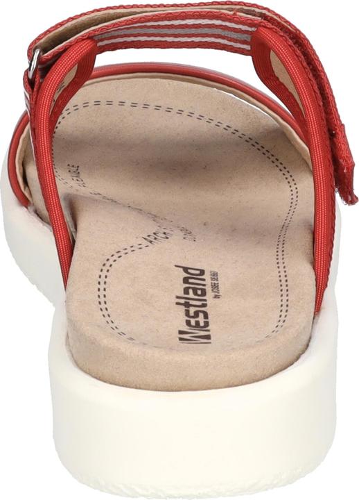 Actual product image Westland 25404-410 (37)