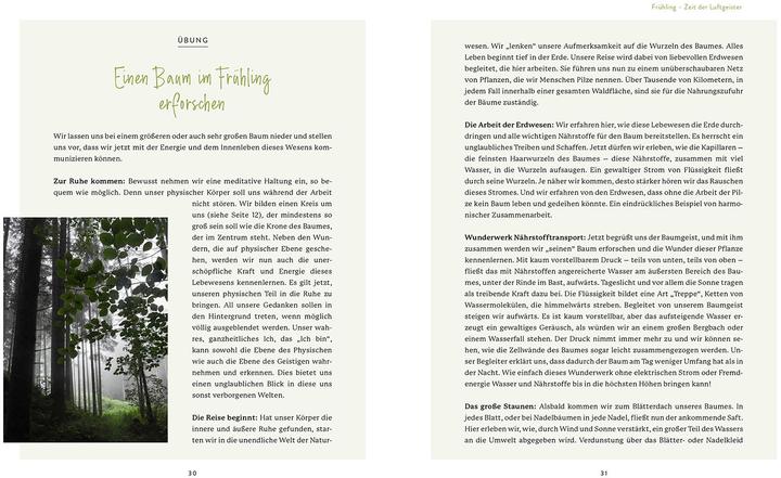 Actual product image Die Welt der Naturgeister (German, Sam Hess, 2022)