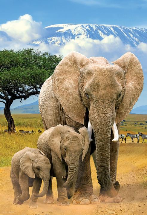 Image du produit Eurographics Éléphants - 250 pièces (250 pièces)