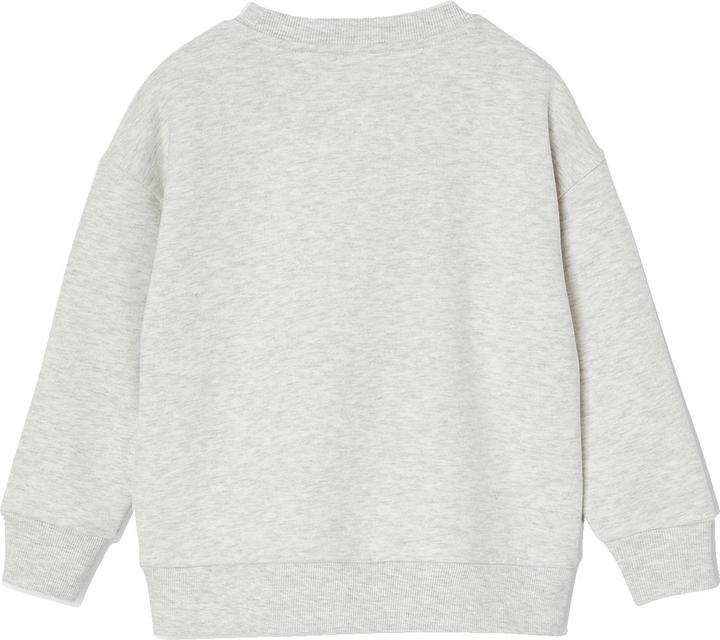 Produktbild Vertbaudet Jungen Sweatshirt mit grossem Skater-Motiv, Recycling-Polyester (104)