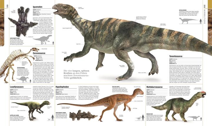Produktbild Dinosaurier und andere Lebewesen der Urzeit (Deutsch, Christopherua, Thomas, Jennifer/Duffin, BarryA/Clack, 2020)